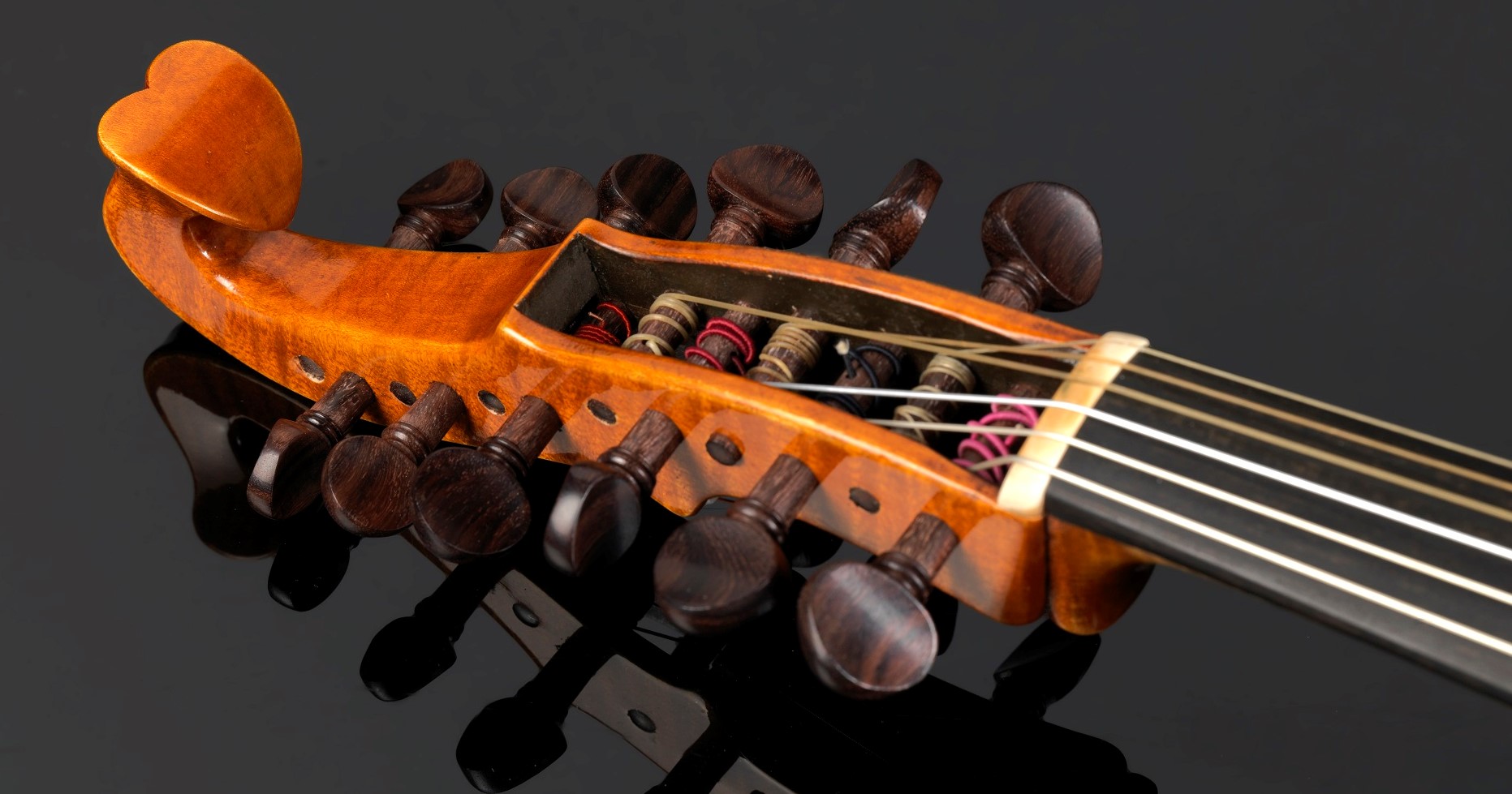 [Daniel Ross Atelier de Lutherie Finistère] Luthier Violon & Viole d'amour Storioni 1786